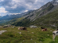 AX2018-Mayrhofen-Gardasee-01-Stilfes-0100