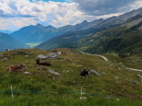 AX2018-Mayrhofen-Gardasee-01-Stilfes-0104