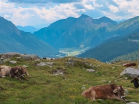 AX2018-Mayrhofen-Gardasee-01-Stilfes-0106