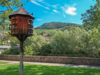 AX2018-Mayrhofen-Gardasee-02-Mauerberghuette-0019