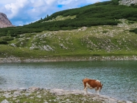 AX2018-Mayrhofen-Gardasee-03-Cortina-dAmpezzo-0094
