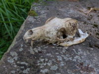 AX2018-Mayrhofen-Gardasee-05-San-Martino-0017