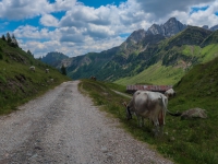 AX2018-Mayrhofen-Gardasee-05-San-Martino-0091