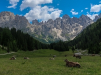 AX2018-Mayrhofen-Gardasee-05-San-Martino-0098