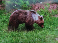 AX2018-Mayrhofen-Gardasee-07-Terlach-0034