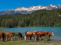 Urlaub-2019-AX-mit-Simone-044