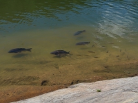 Urlaub-2019-AX-mit-Simone-099