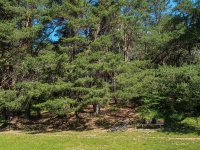 Urlaub-2019-AX-mit-Simone-100