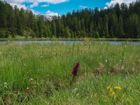 Urlaub-2019-AX-mit-Simone-190