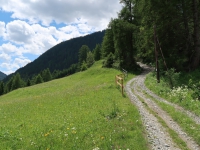 Urlaub-2019-AX-mit-Simone-199