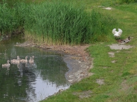 Urlaub-2019-AX-mit-Simone-234