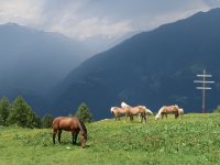 Urlaub-2019-AX-mit-Simone-254