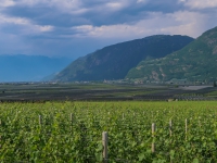 Urlaub-2019-AX-mit-Simone-277