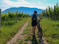 Urlaub-2019-AX-mit-Simone-295