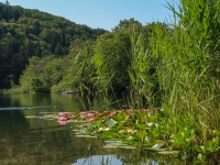 Urlaub-2019-AX-mit-Simone-298