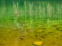 AX2021-Garmisch-Gardasee-01-Moesern-074