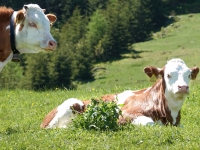 AX2021-Garmisch-Gardasee-03-Sattelberg-045