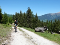 AX2021-Garmisch-Gardasee-03-Sattelberg-071