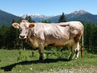 AX2021-Garmisch-Gardasee-03-Sattelberg-073