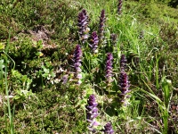 AX2021-Garmisch-Gardasee-04-Ratsching-022