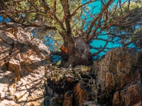 AX2021-Garmisch-Gardasee-04-Ratsching-028