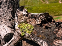 AX2021-Garmisch-Gardasee-04-Ratsching-108