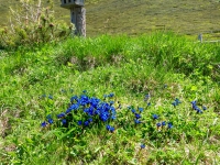 AX2021-Garmisch-Gardasee-04-Ratsching-109