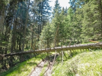 AX2021-Garmisch-Gardasee-04-Ratsching-149