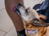 AX2021-Garmisch-Gardasee-04-Ratsching-162