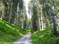 AX2021-Garmisch-Gardasee-05-Meran-006