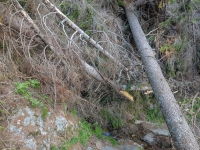AX2021-Garmisch-Gardasee-05-Meran-083