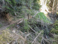 AX2021-Garmisch-Gardasee-05-Meran-084