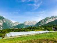 AX2021-Garmisch-Gardasee-08-Riva-005