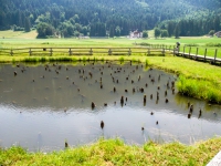 AX2021-Garmisch-Gardasee-08-Riva-016