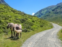 AX2022-Garmisch-Gardasee-02-Ischgl-048