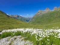 AX2022-Garmisch-Gardasee-02-Ischgl-074