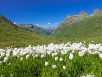 AX2022-Garmisch-Gardasee-02-Ischgl-075