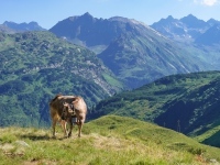 AX2022-Garmisch-Gardasee-02-Ischgl-093