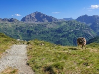 AX2022-Garmisch-Gardasee-02-Ischgl-094