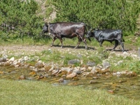 AX2022-Garmisch-Gardasee-04-Muenstair-018