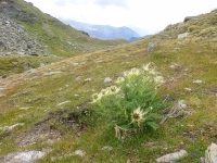 AX2022-Garmisch-Gardasee-06-Passo-Tonale-018