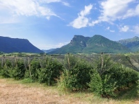 AX2022-Garmisch-Gardasee-08-Riva-017