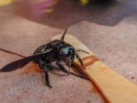 AX2022-Garmisch-Gardasee-08-Riva-024