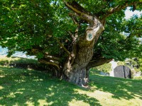 AX2023-Franzensfeste-Gardasee-03-Campitello-di-Fassa-029