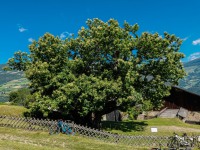 AX2023-Franzensfeste-Gardasee-03-Campitello-di-Fassa-030