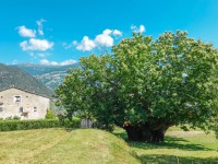 AX2023-Franzensfeste-Gardasee-03-Campitello-di-Fassa-031