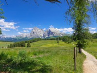 AX2023-Franzensfeste-Gardasee-03-Campitello-di-Fassa-052