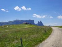 AX2023-Franzensfeste-Gardasee-03-Campitello-di-Fassa-055