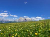 AX2023-Franzensfeste-Gardasee-03-Campitello-di-Fassa-057