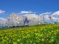 AX2023-Franzensfeste-Gardasee-03-Campitello-di-Fassa-058